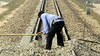 laos-railroad-2008-160